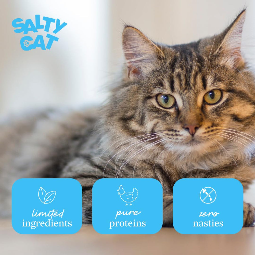 Salty Cat Capitaine Dîner Pâté: boîtes alignées, praticité et portions quotidiennes.