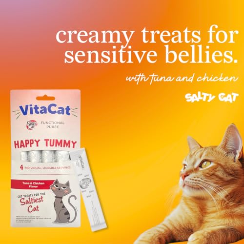 Salty Cat Happy Tummy – détail purée crème hydratante, texture onctueuse.