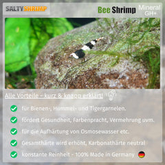 SALTYSHRIMP Bee Shrimp Mineral GH+ améliore la coloration des crevettes