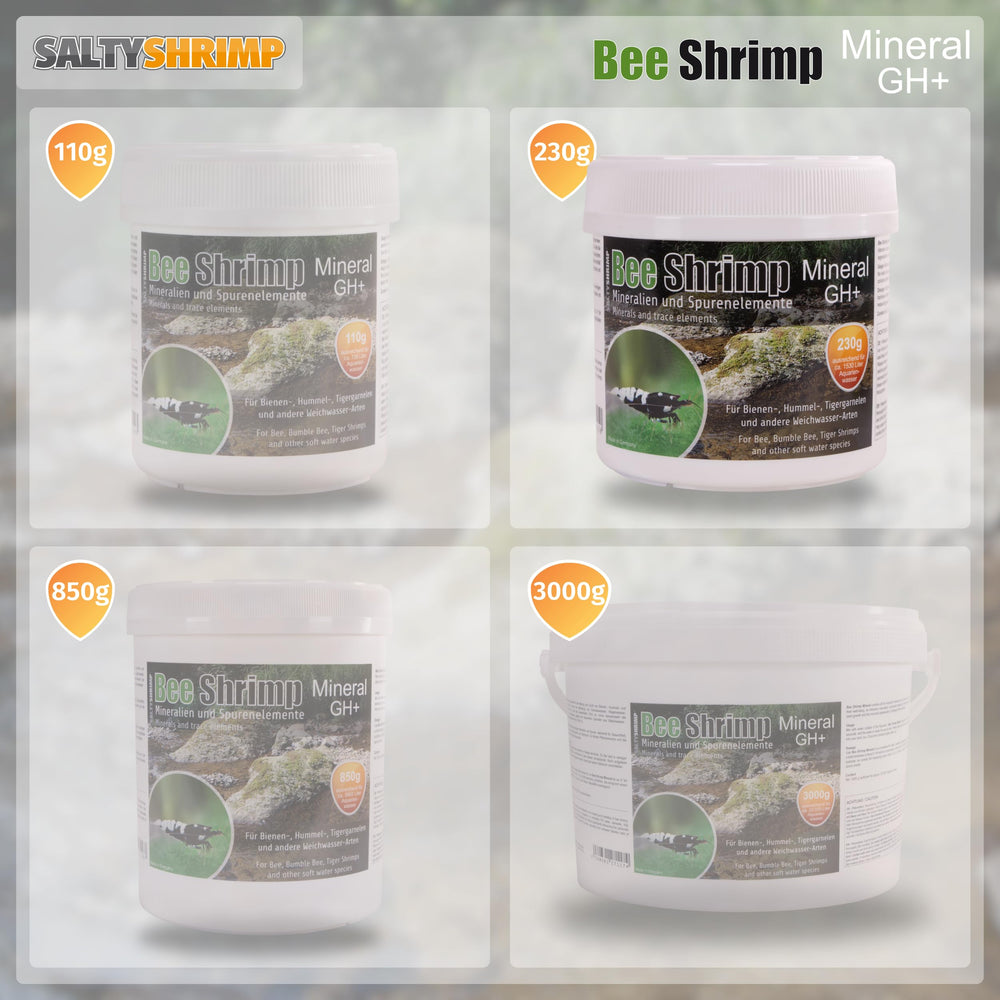 SALTYSHRIMP GH+ favorise la régénération microbienne du filtre.