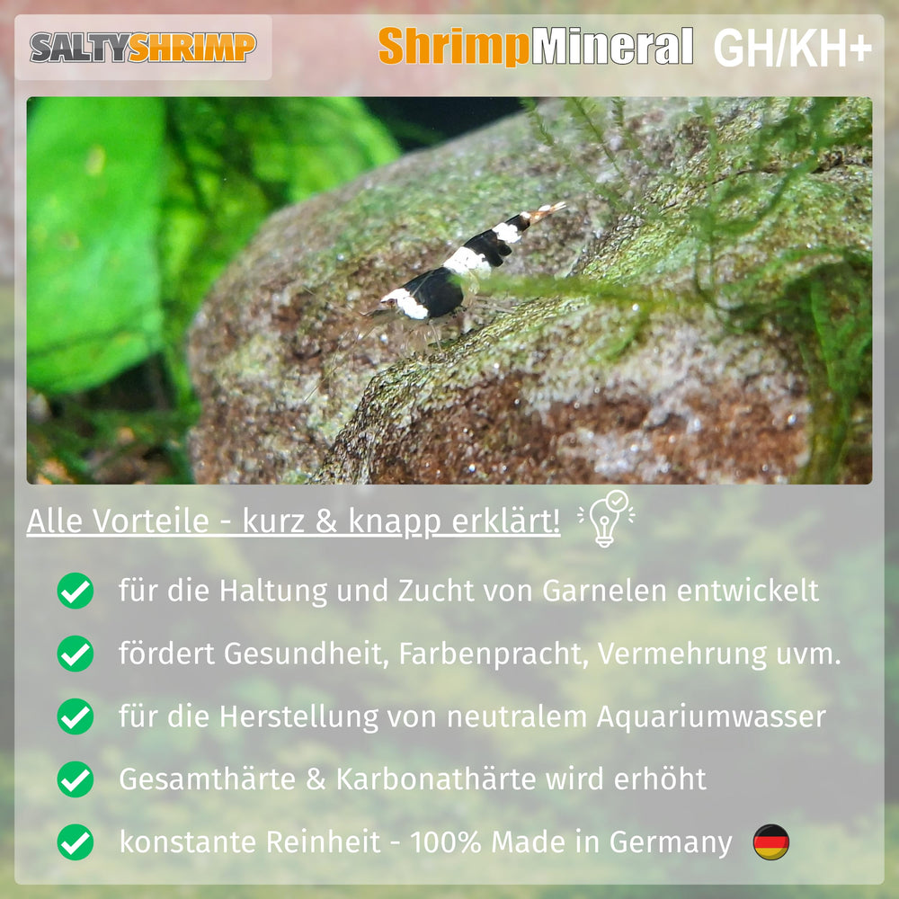 Système de dissolution rapide montrant Shrimp Mineral GH/KH+.