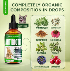 SalutemPet Antibiotique chat – extraits naturels pour un soutien quotidien.