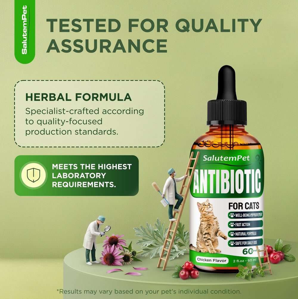 SalutemPet Antibiotique chat – formule liquide facile à digérer par votre félin.