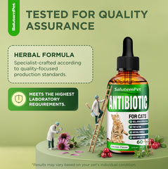 SalutemPet Antibiotique chat – formule liquide facile à digérer par votre félin.