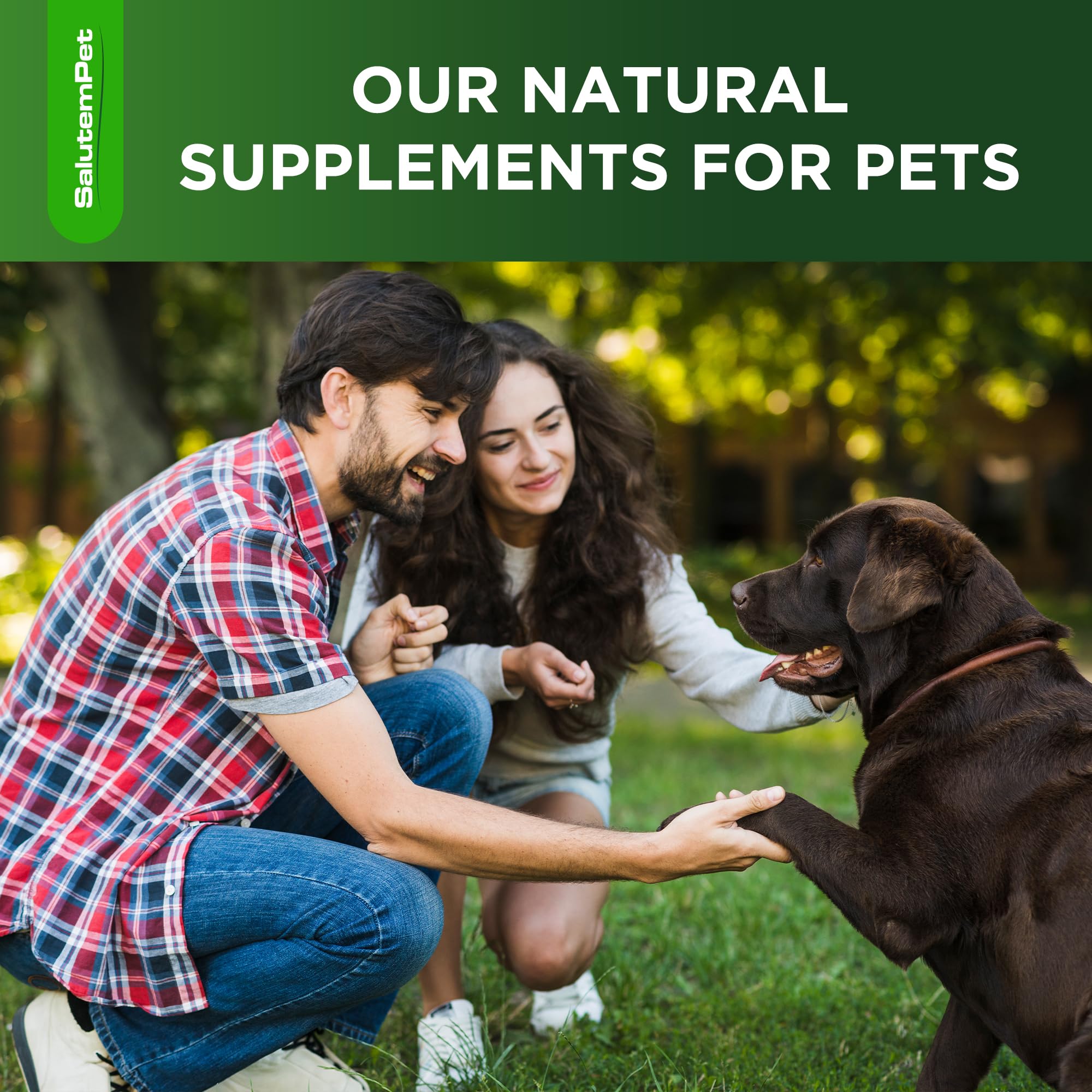 SalutemPet antibiotiques chien – administration simple, convenant à tous les âges et toutes les races.