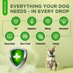 SalutemPet antibiotiques chien – goût poulet, facile à ajouter au repas.