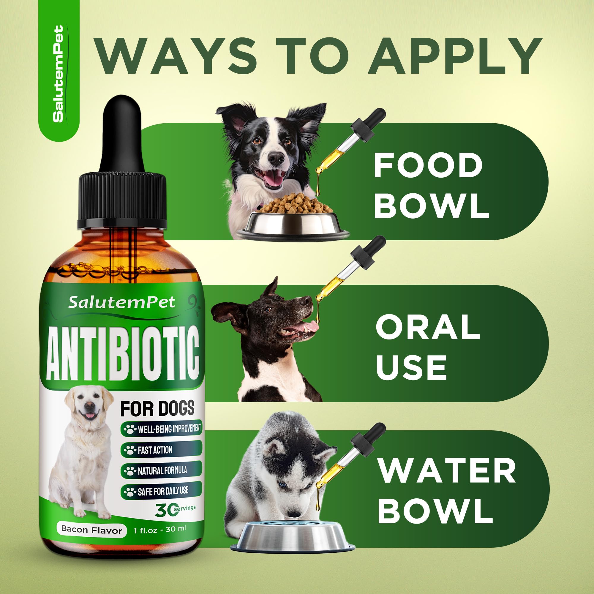 SalutemPet antibiotiques chien – goût poulet, solution naturelle pour chiens actifs.