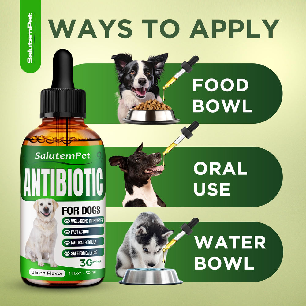 SalutemPet antibiotiques chien – goût poulet, solution naturelle pour chiens actifs.