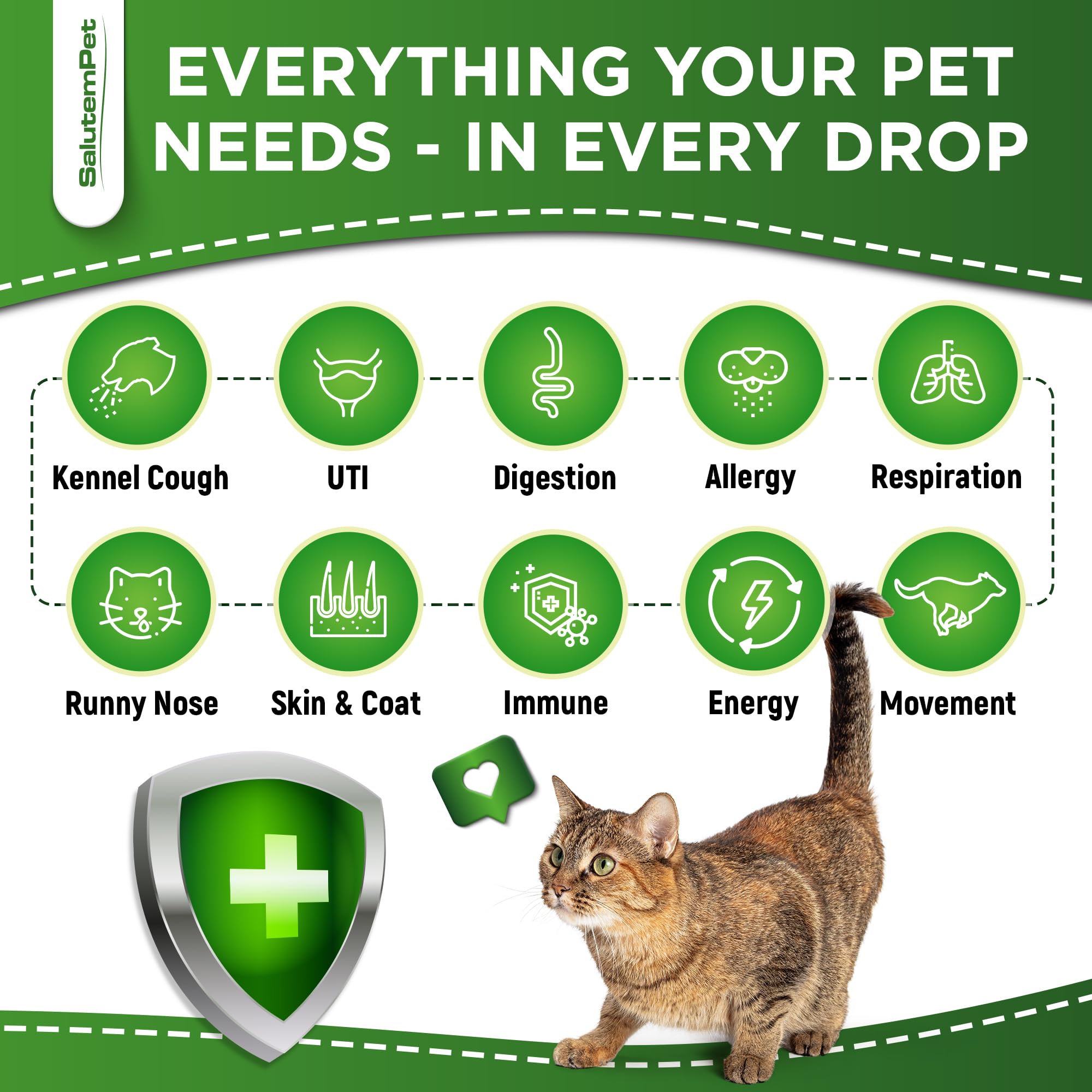 Ingrédients naturels pour animaux, base SalutemPet Forte Santé.