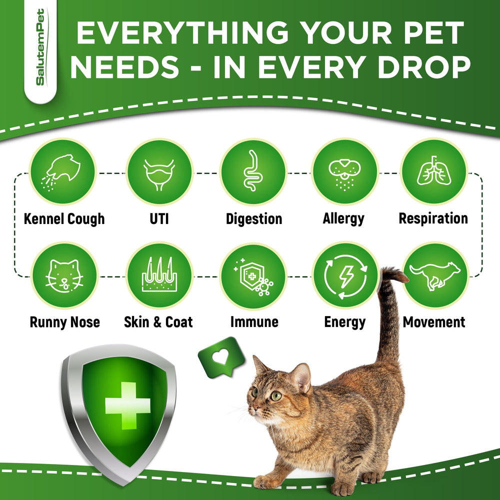 Ingrédients naturels pour animaux, base SalutemPet Forte Santé.
