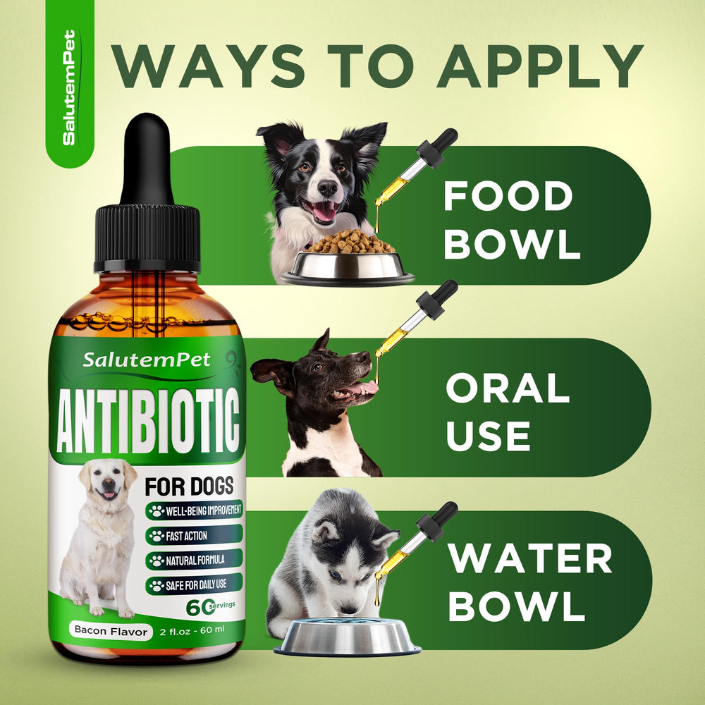 SalutemPet antibiotiques naturels pour chien : dosage dans l’eau du chien.