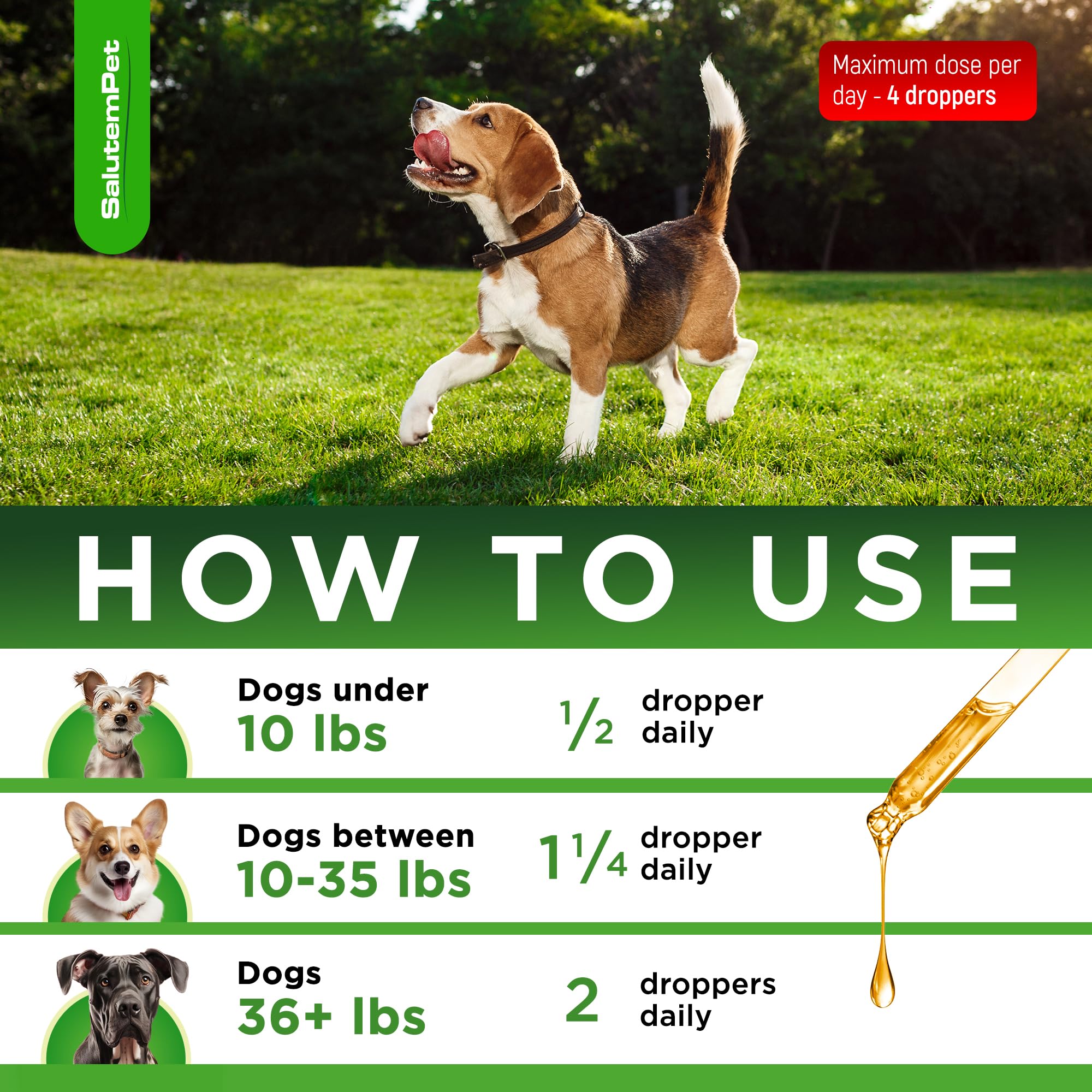 SalutemPet antibiotiques naturels pour chien : ajout facile dans les repas.