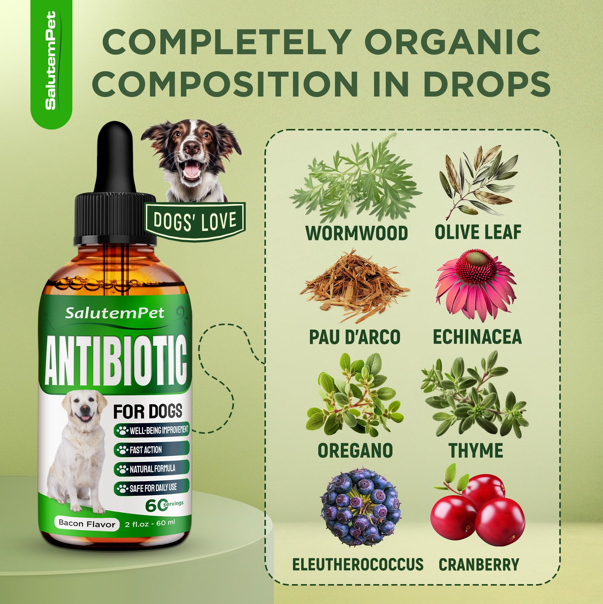 SalutemPet antibiotiques naturels pour chien – application directe en gouttes.