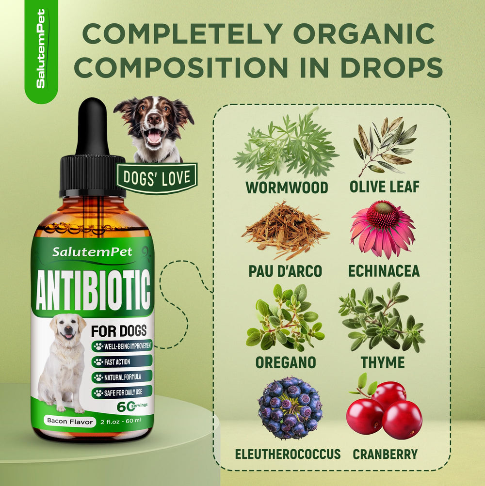 SalutemPet antibiotiques naturels pour chien – application directe en gouttes.