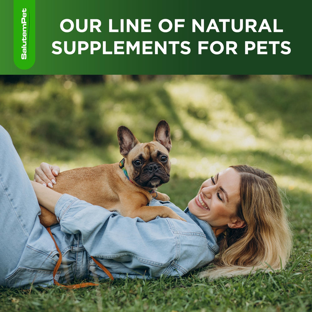 SalutemPet antibiotiques naturels pour chien : bien-être général potentiel.