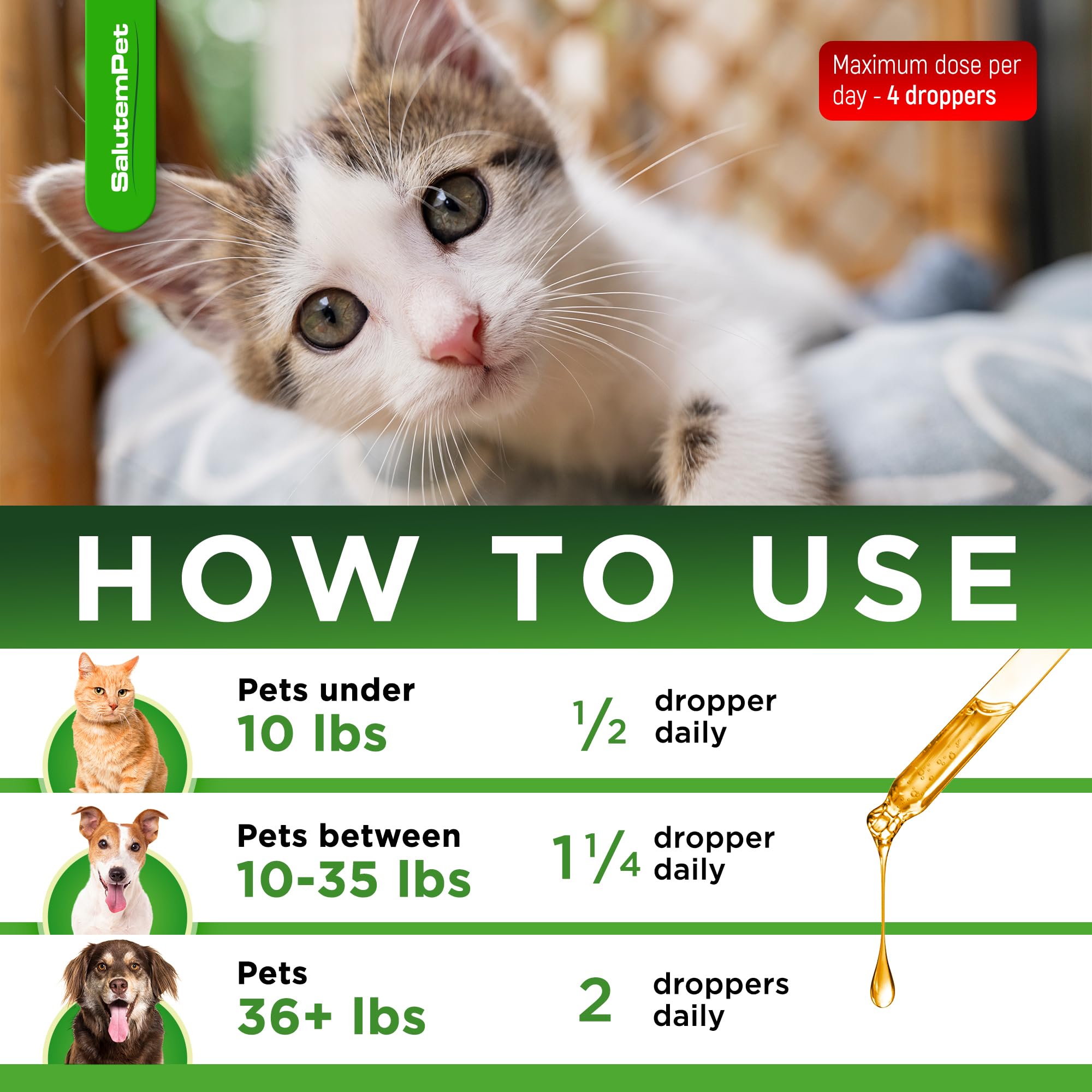 SalutemPet flacon-gouttes chien, utilisation simple au quotidien.