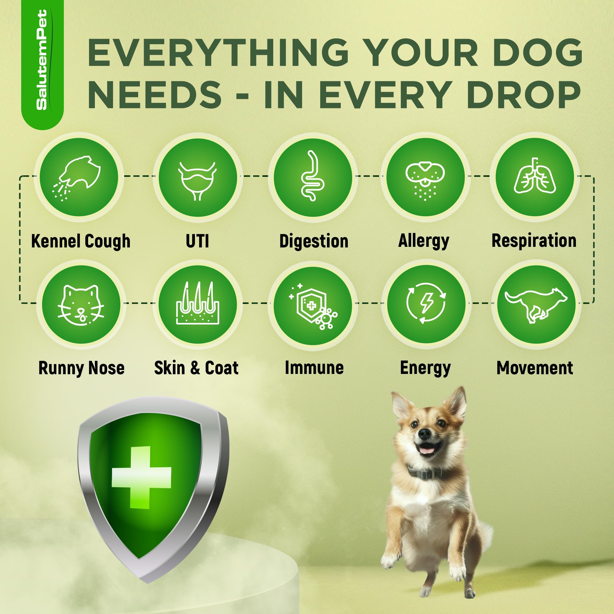 SalutemPet antibiotiques naturels pour chien : goût bacon qui facilite l’application.