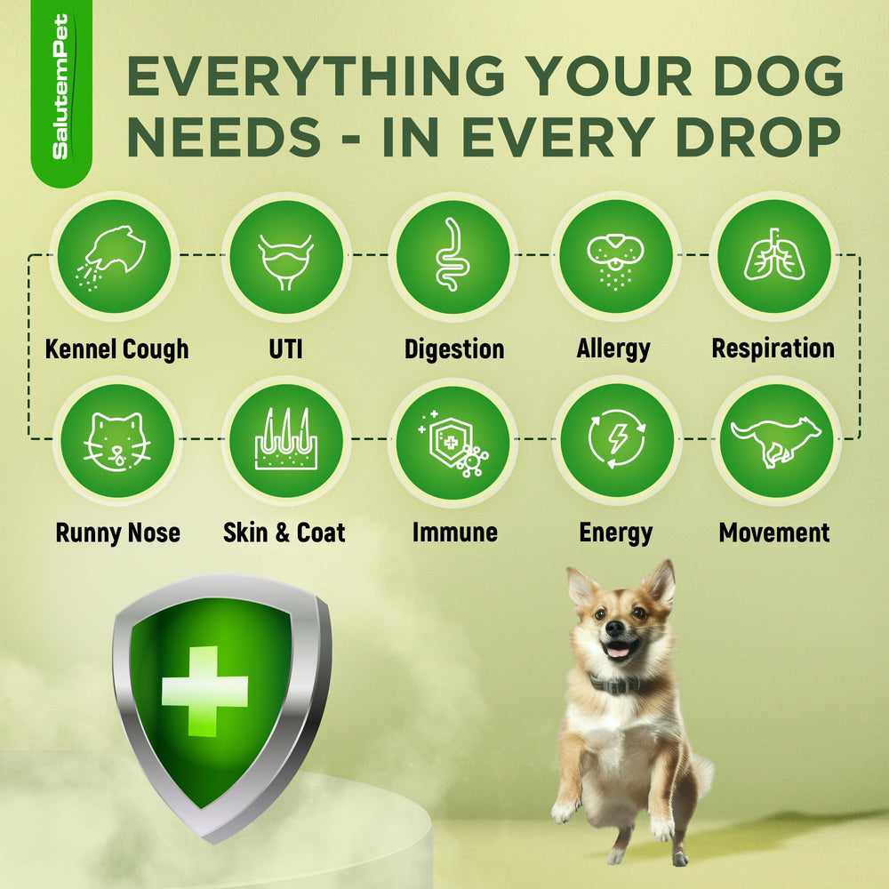 SalutemPet antibiotiques naturels pour chien : goût bacon qui facilite l’application.