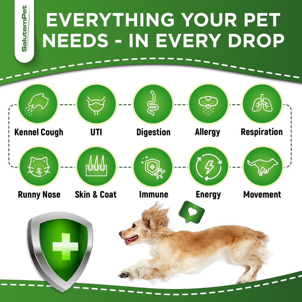 SalutemPet pipette chien, administration facile et absorption rapide.