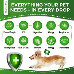 SalutemPet pipette chien, administration facile et absorption rapide.