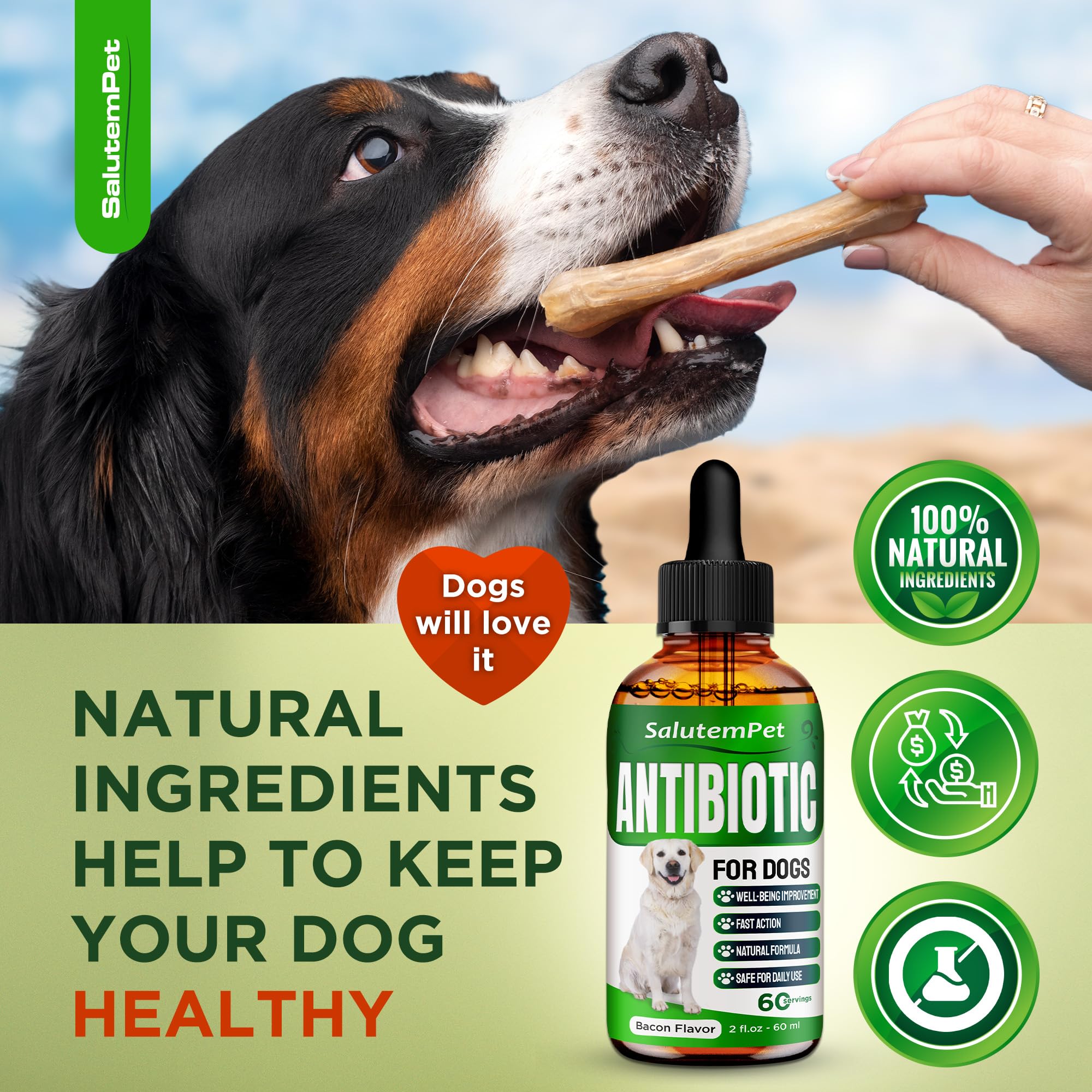 SalutemPet antibiotiques naturels pour chien : soutien possible pour articulations.