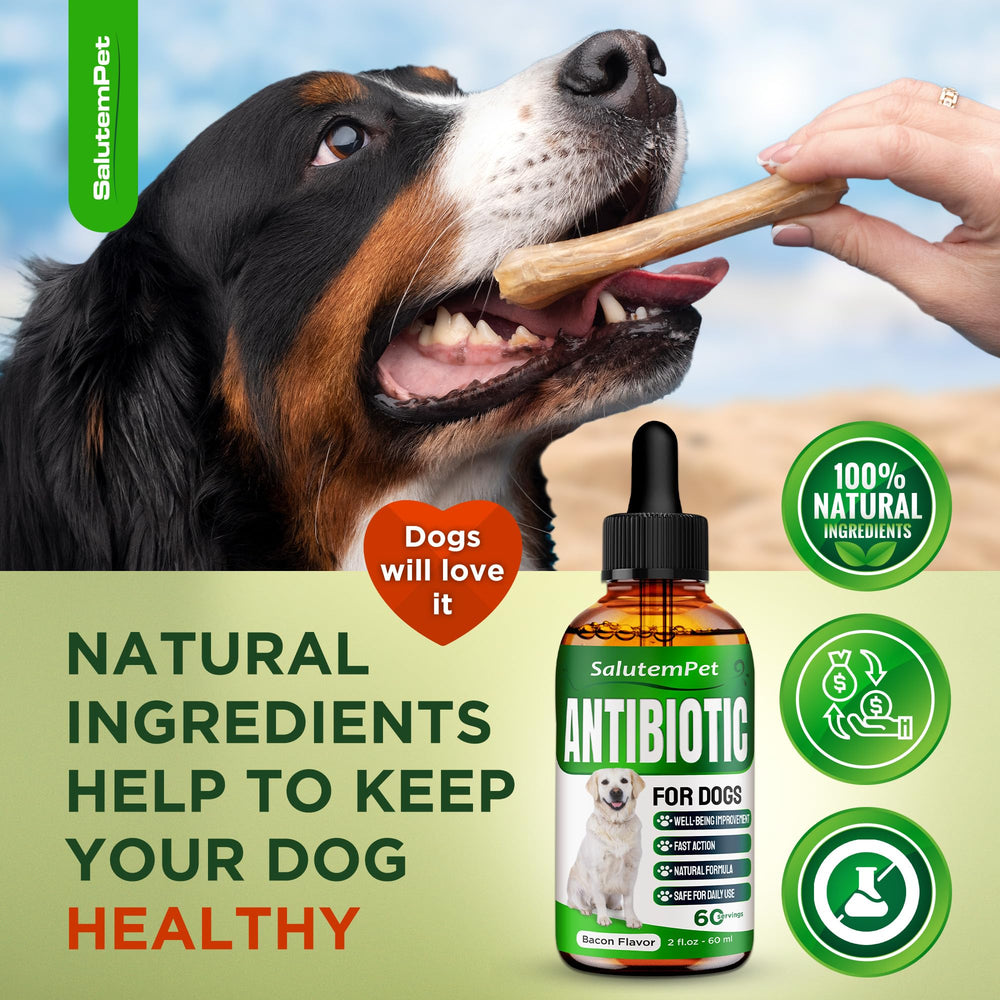 SalutemPet antibiotiques naturels pour chien : soutien possible pour articulations.