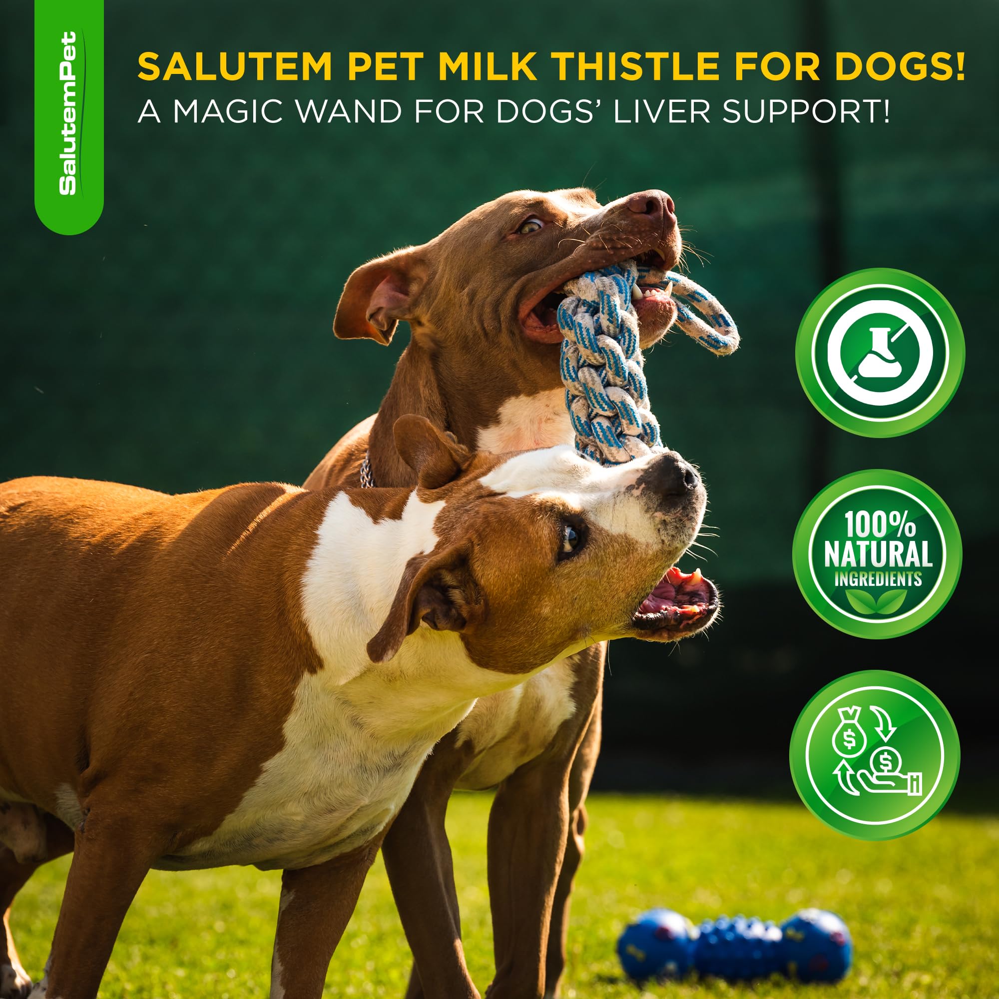 SalutemPet Chardon-Marie – usage-quotidien: adapté à tous les âges et races chiens.