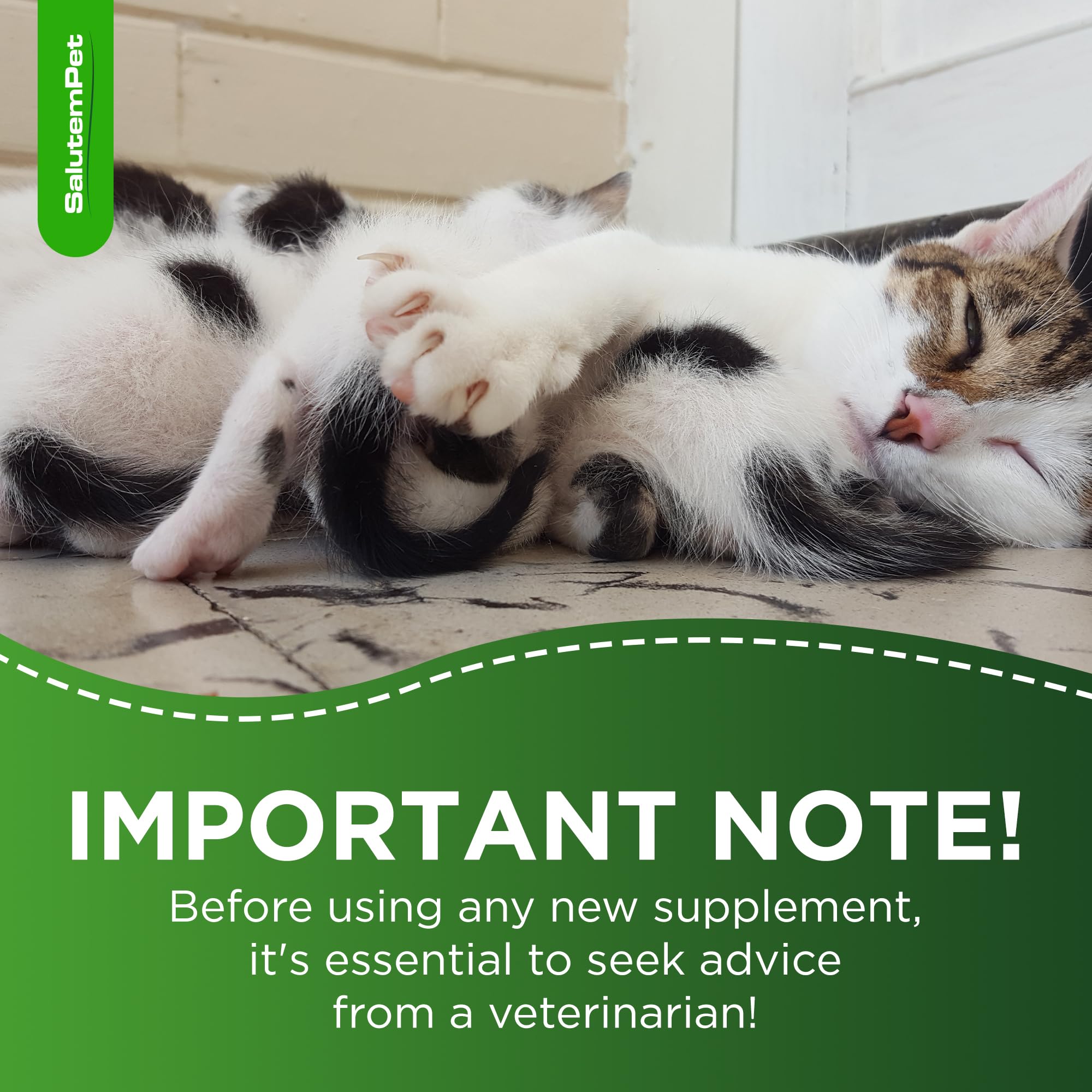SalutemPet, complément nutritionnel pour mamans pendant lactation, confort.