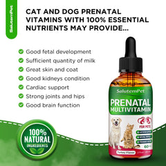 SalutemPet Goût dinde - vitamine prénatale, administration facilitée.