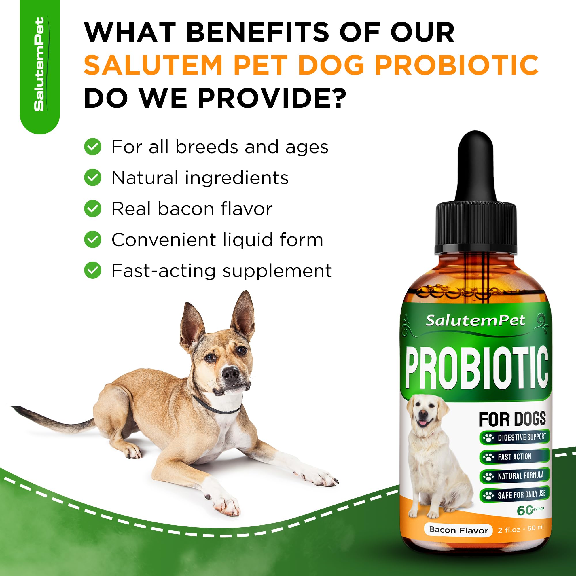 Probiotiques SalutemPet appétit-chien: stimule l'appétit et le confort digestif.