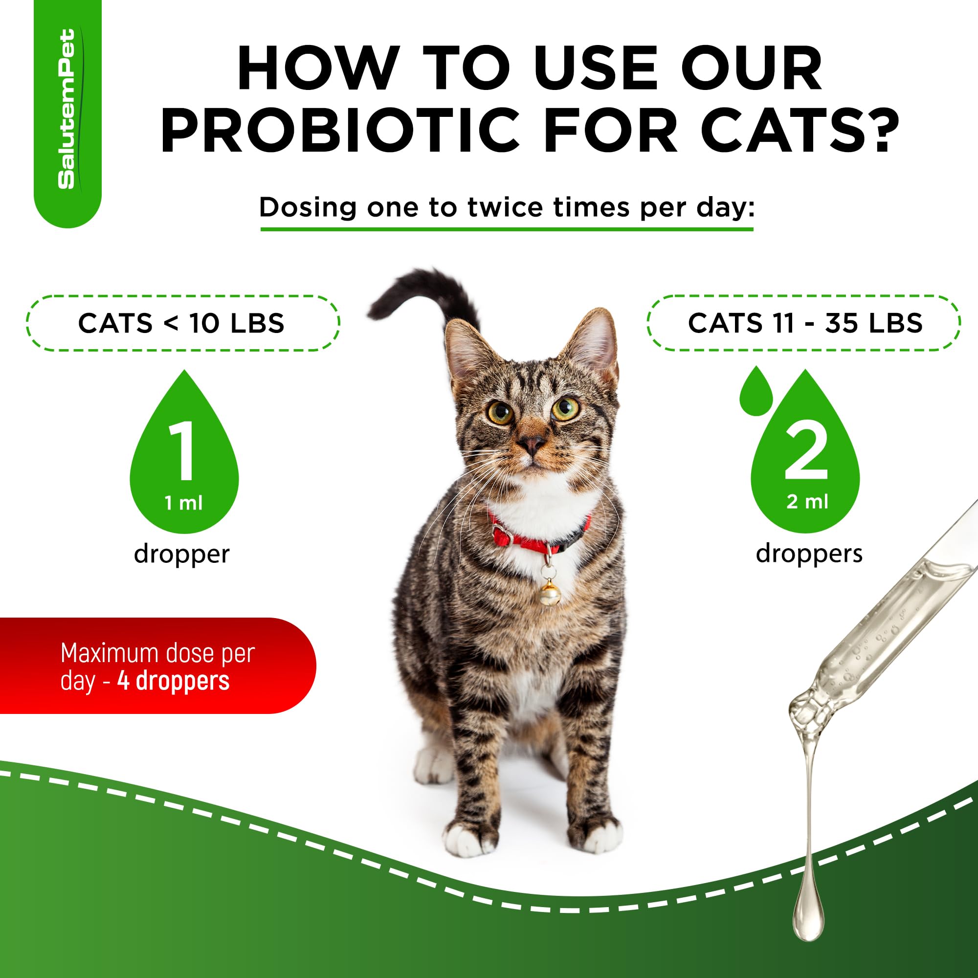 SalutemPet Probiotiques pour chats – dosage simple pour le repas quotidien.