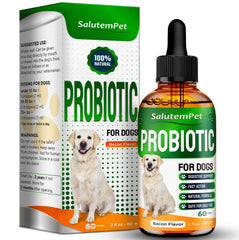 Probiotiques SalutemPet pour chien en liquide, soutien digestif en douceur.