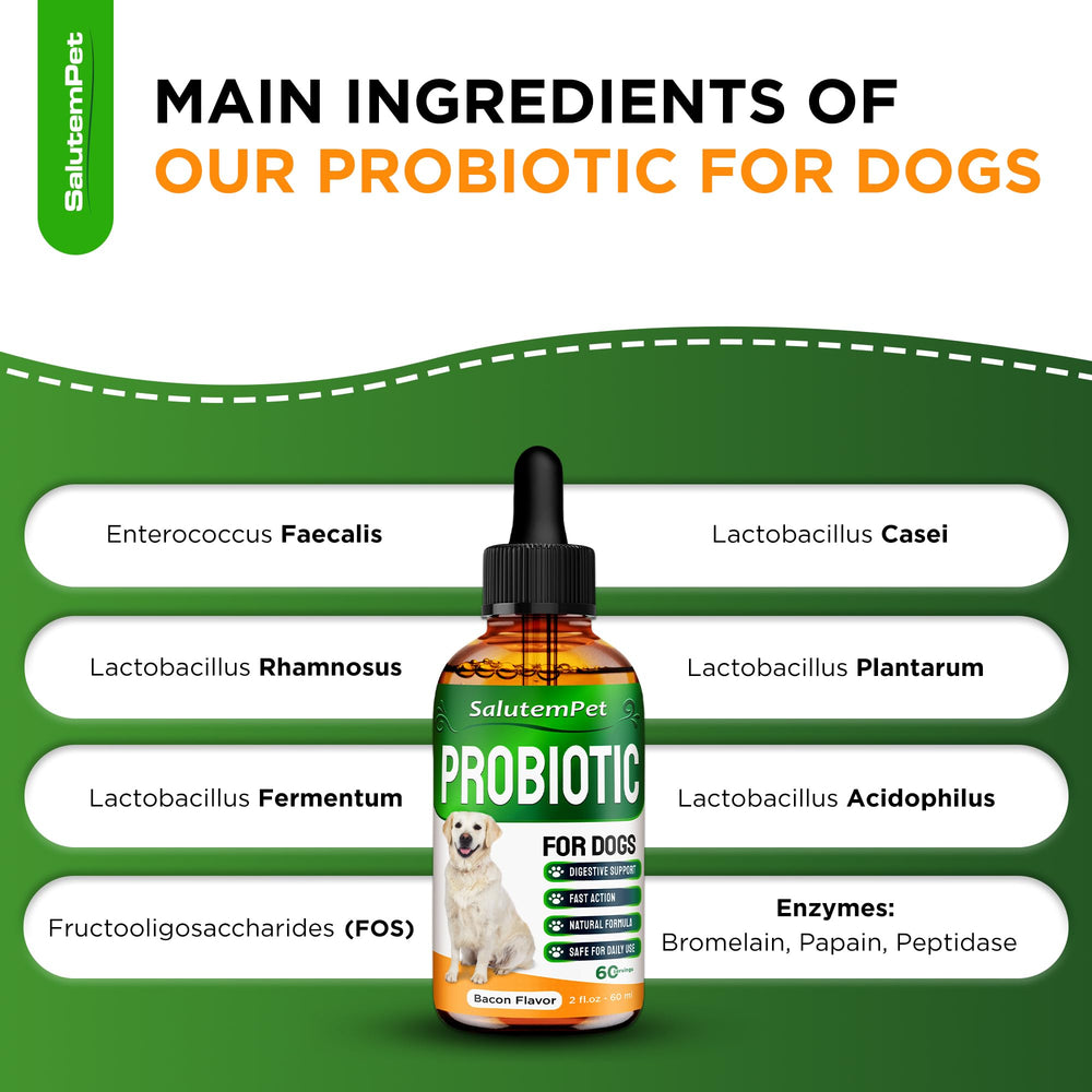 Probiotiques SalutemPet prébiotiques-digestion: favorise digestion et absorption chez le chien.