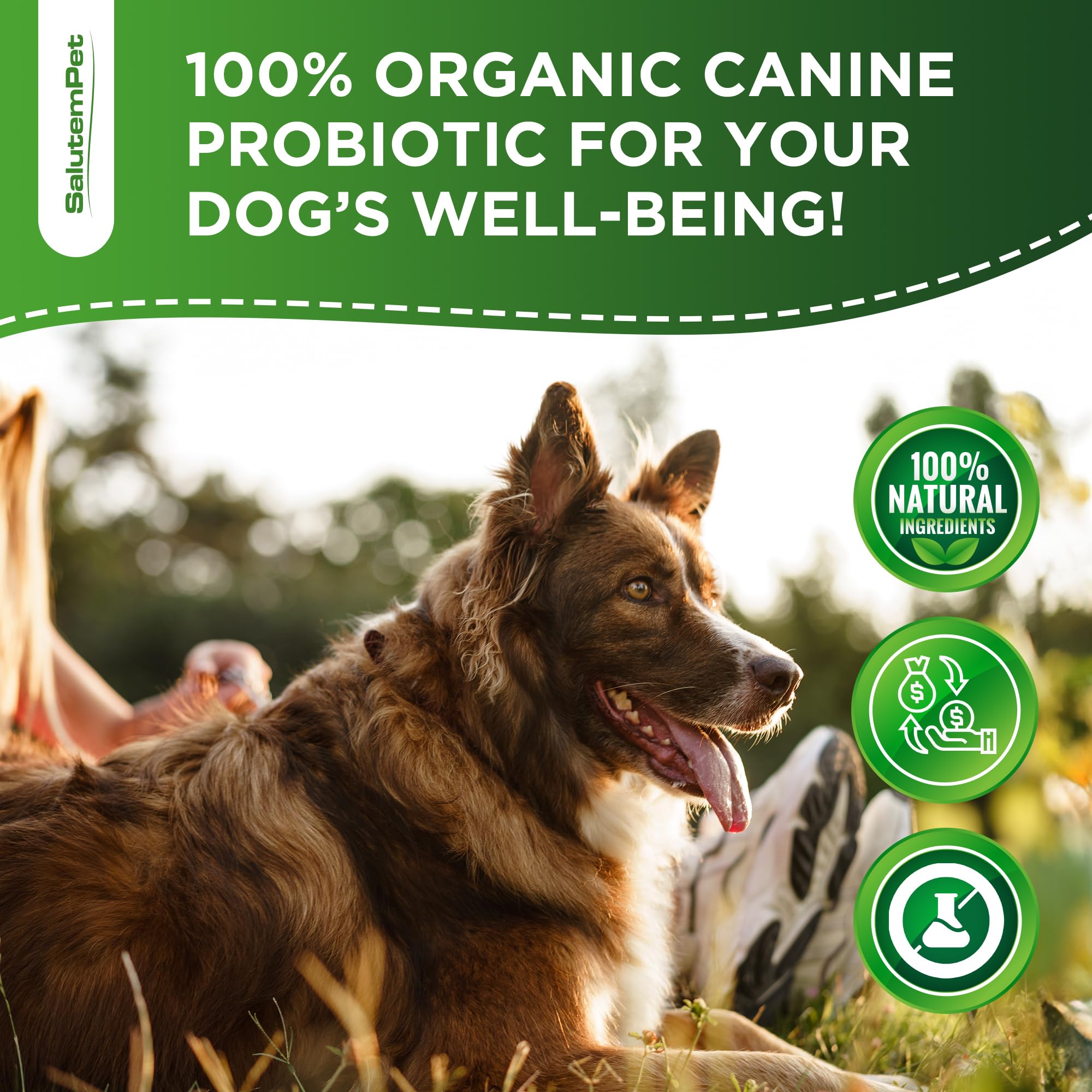 Probiotiques SalutemPet sans-additifs-chien: formulation naturelle et douce.