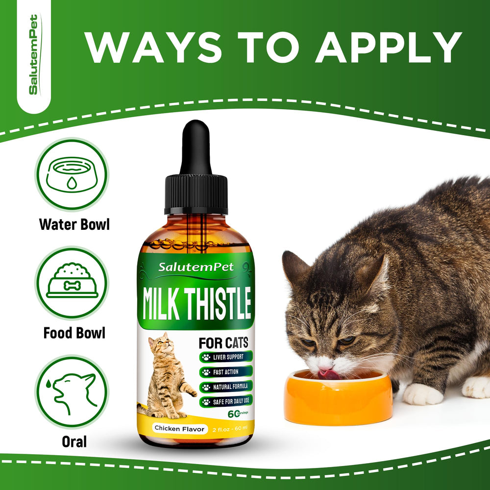 SalutemPet soutien-rein-chat, aide potentielle pour une fonction urinaire.