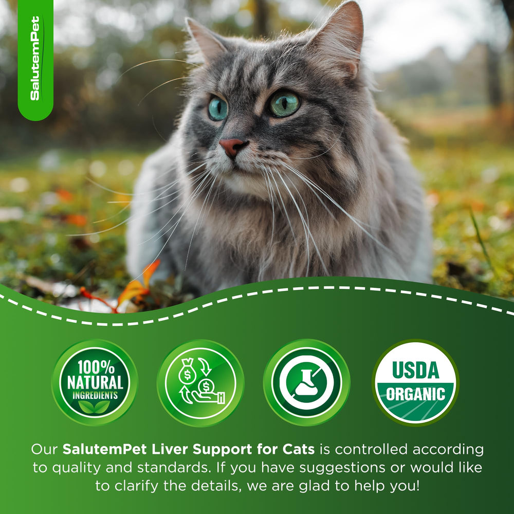 SalutemPet usage-quotidien-chat, pratique pour les routines de soins.