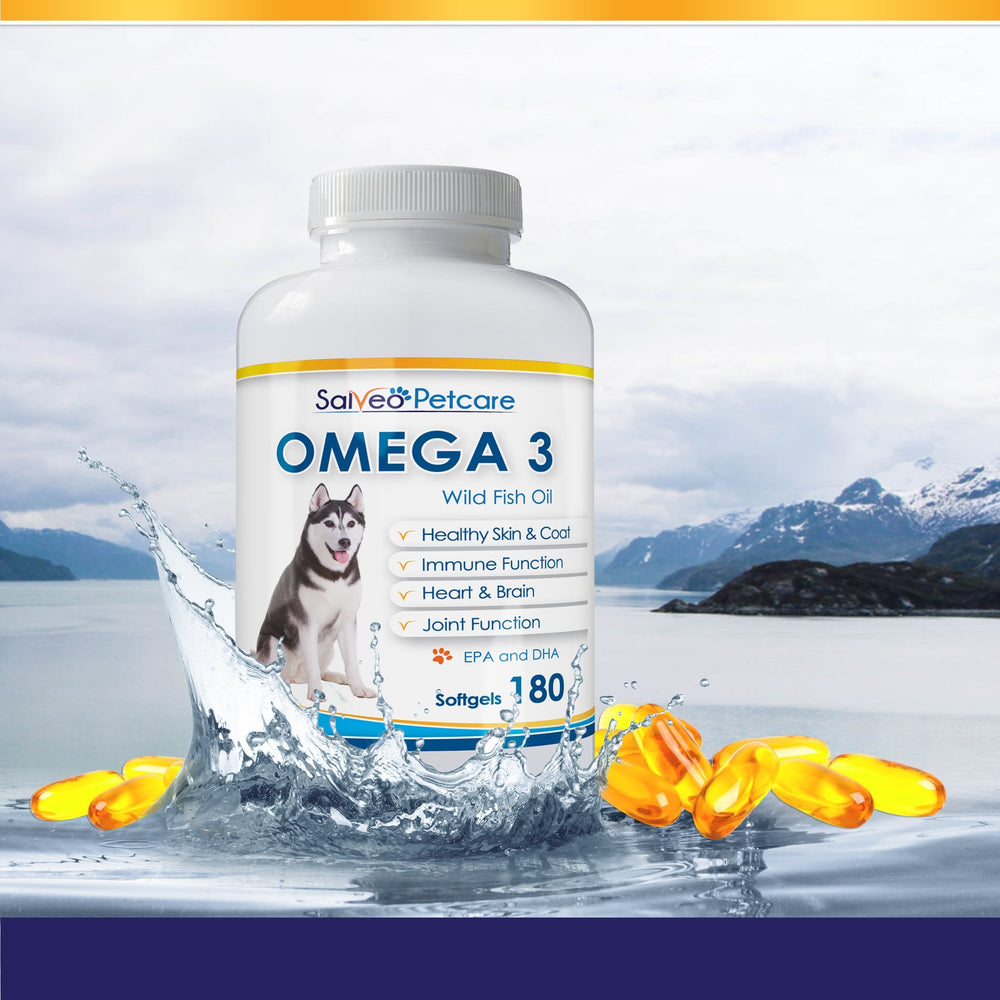 Salveo Petcare Omega3 poisson chien en action soutient la mobilité.