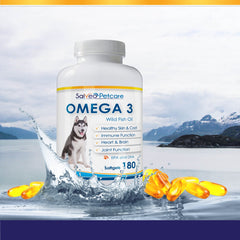 Salveo Petcare Omega3 poisson chien en action soutient la mobilité.