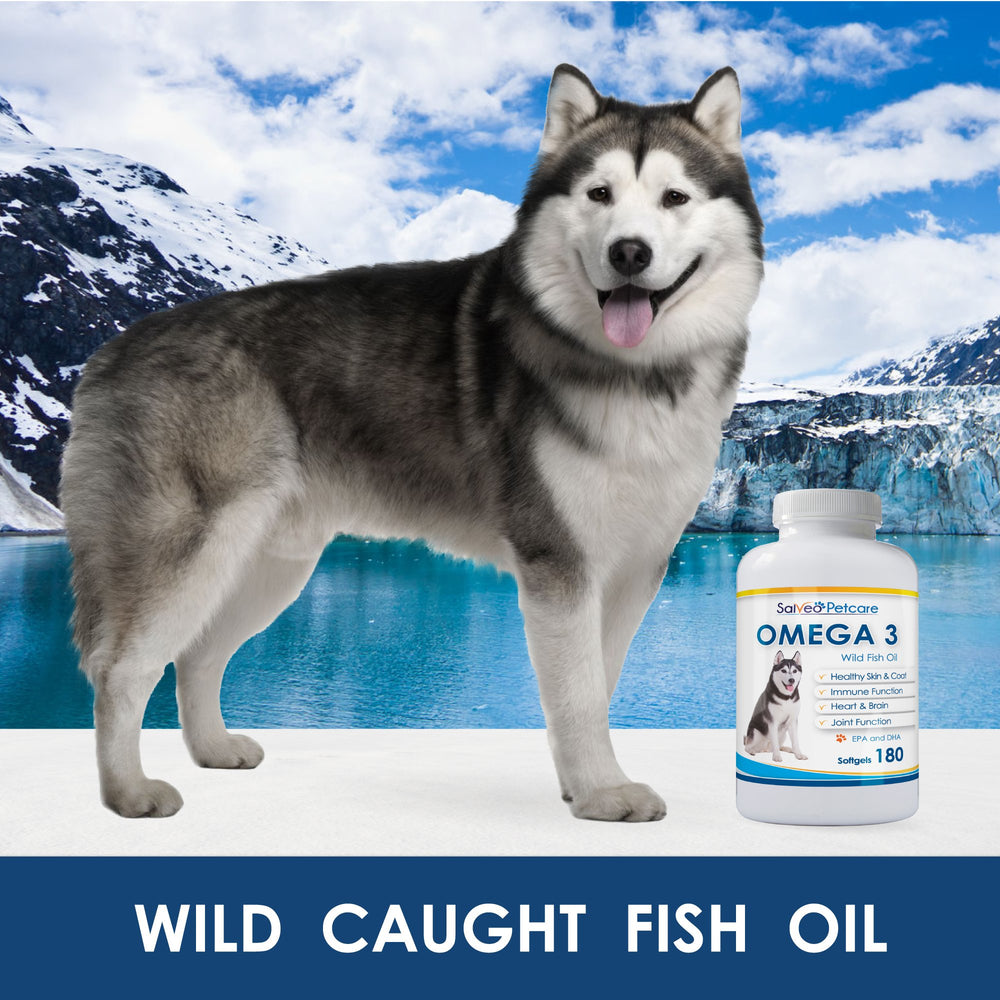 Salveo Petcare Omega3 poisson chien poil brillant grâce aux EPA et DHA.