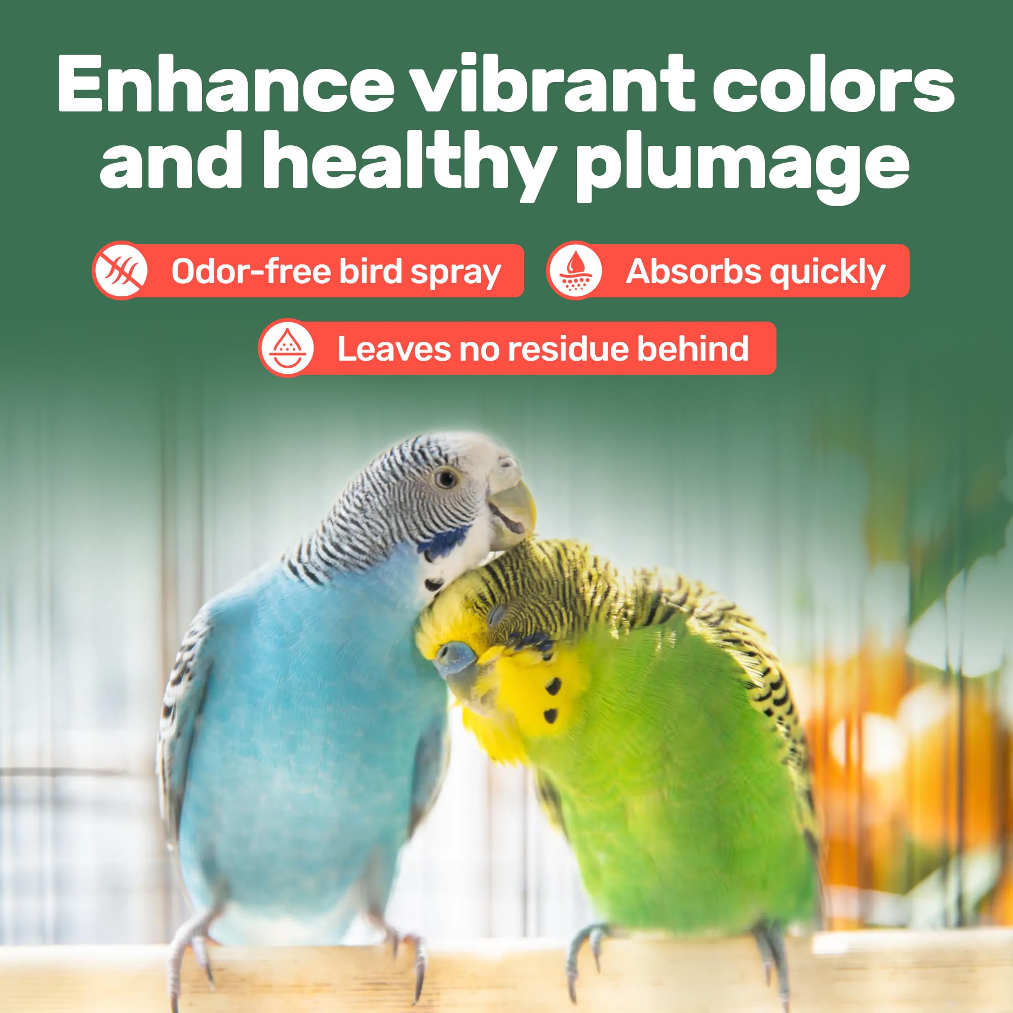 Application Samorillo, soin du plumage pratique lors du bain d'oiseaux