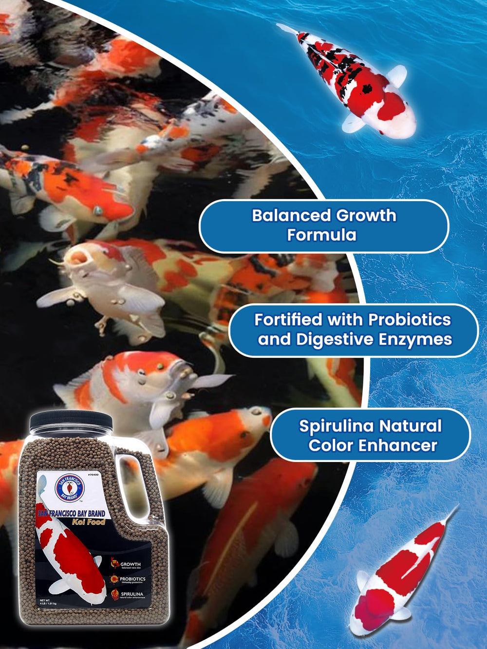 Koi San Francisco Bay Brand – alimentation quotidienne complète avec vitamines et minéraux.
