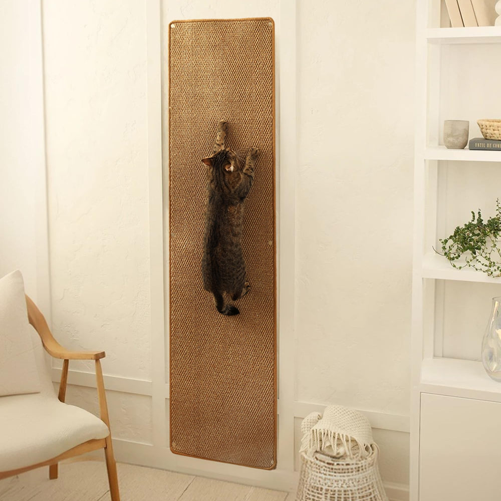 SANDPEAK Cat Wall Climber – ensemble mural 67 po x 17,5 po, griffage sûr