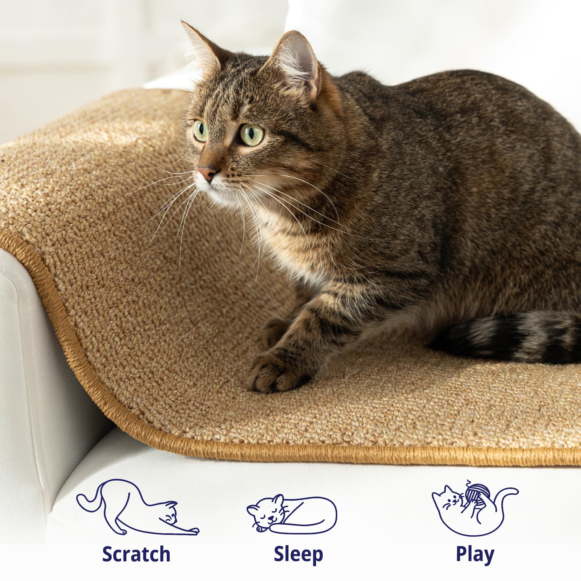 SANDPEAK Cat Wall Climber – installation rapide avec 6 clous fournis
