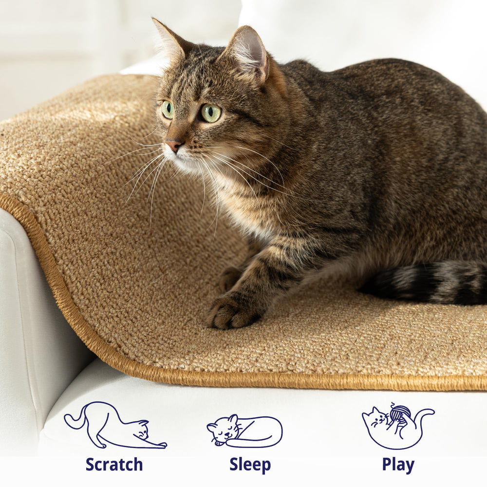 SANDPEAK Cat Wall Climber – installation rapide avec 6 clous fournis