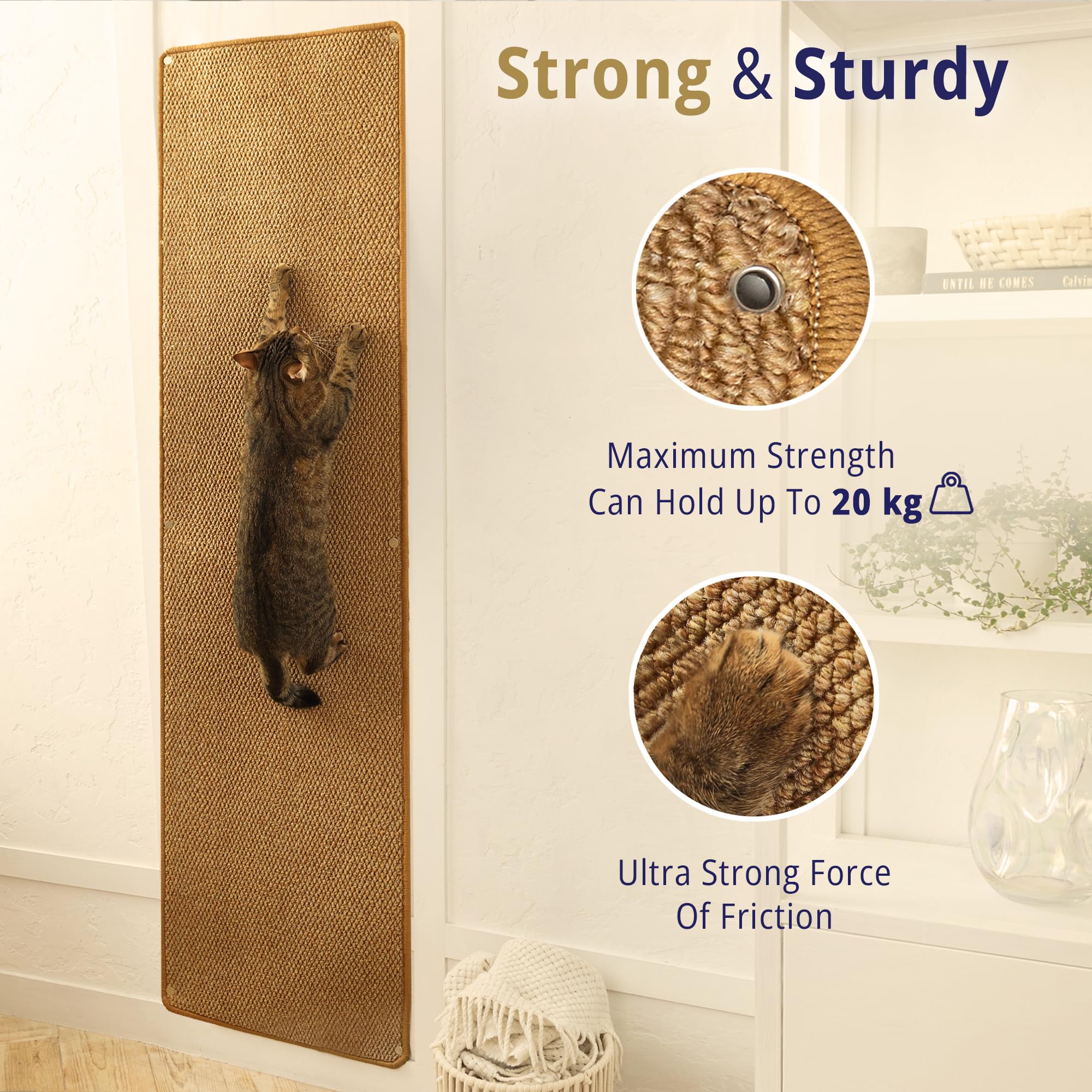 SANDPEAK Cat Wall Climber – tapis au sol pour jeu et détente