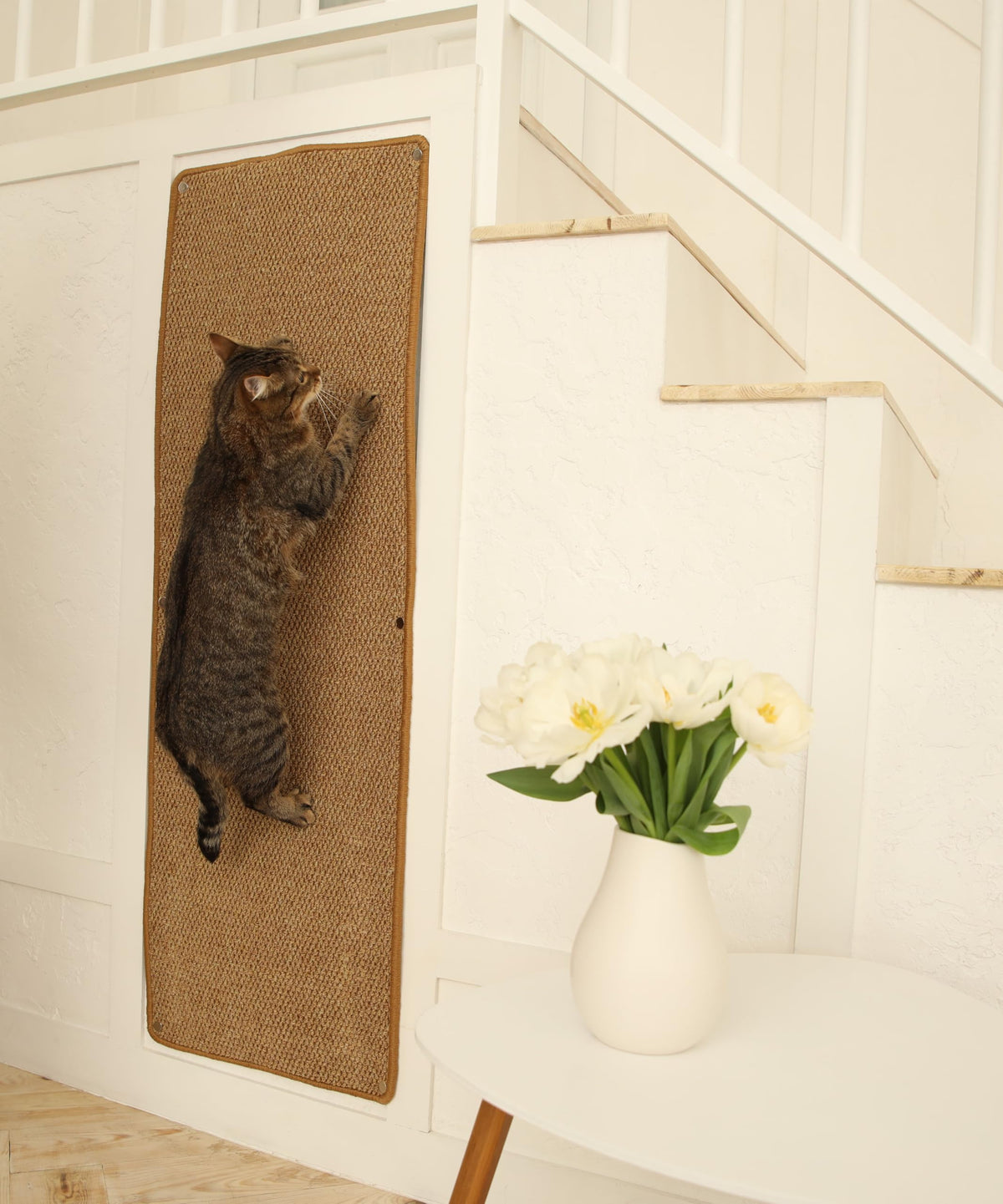 SANDPEAK tapis grimpeur mur chat stimule l'activité et l'étirement du félin