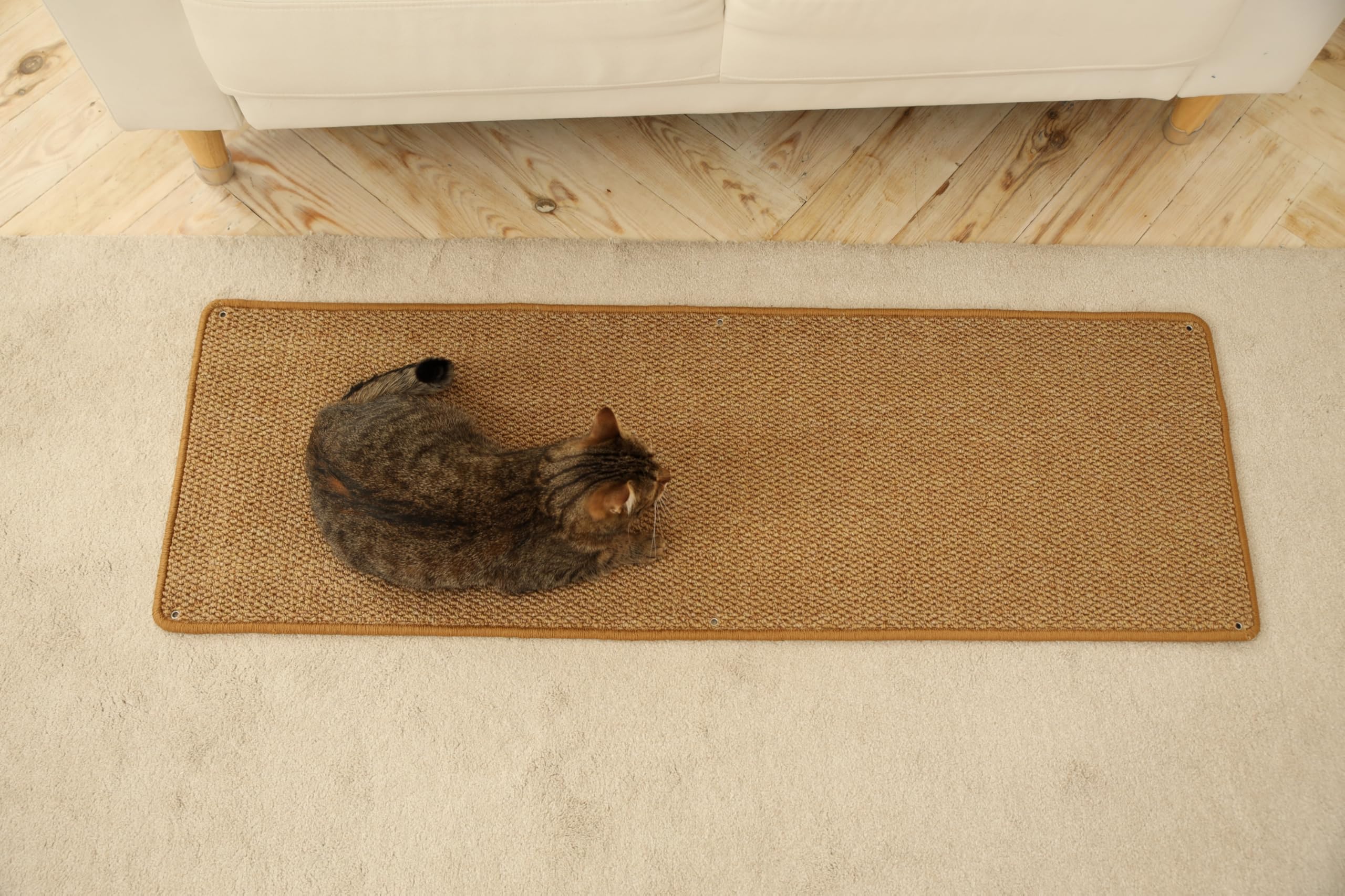 SANDPEAK tapis grimpe chat mural durable et facile à intégrer