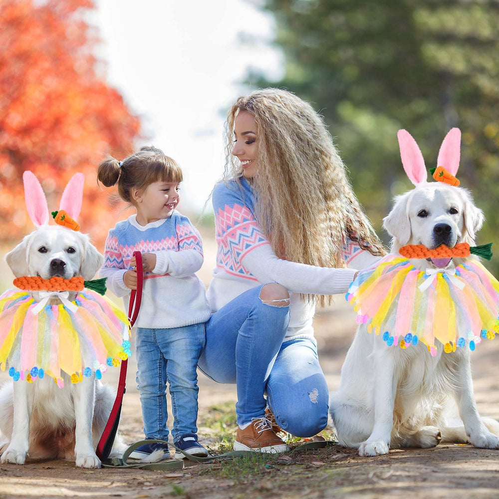 Ensemble costume Paques Sanixin pour chien, parfait pour les séances photo.