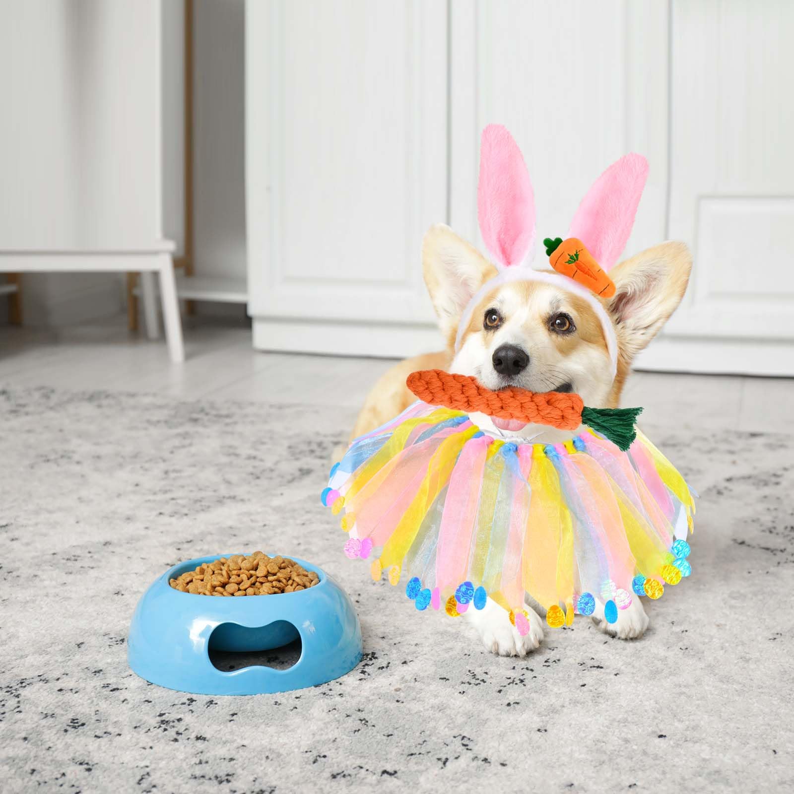 Séance photo Paques avec Sanixin, chien habillé avec tenue complète.