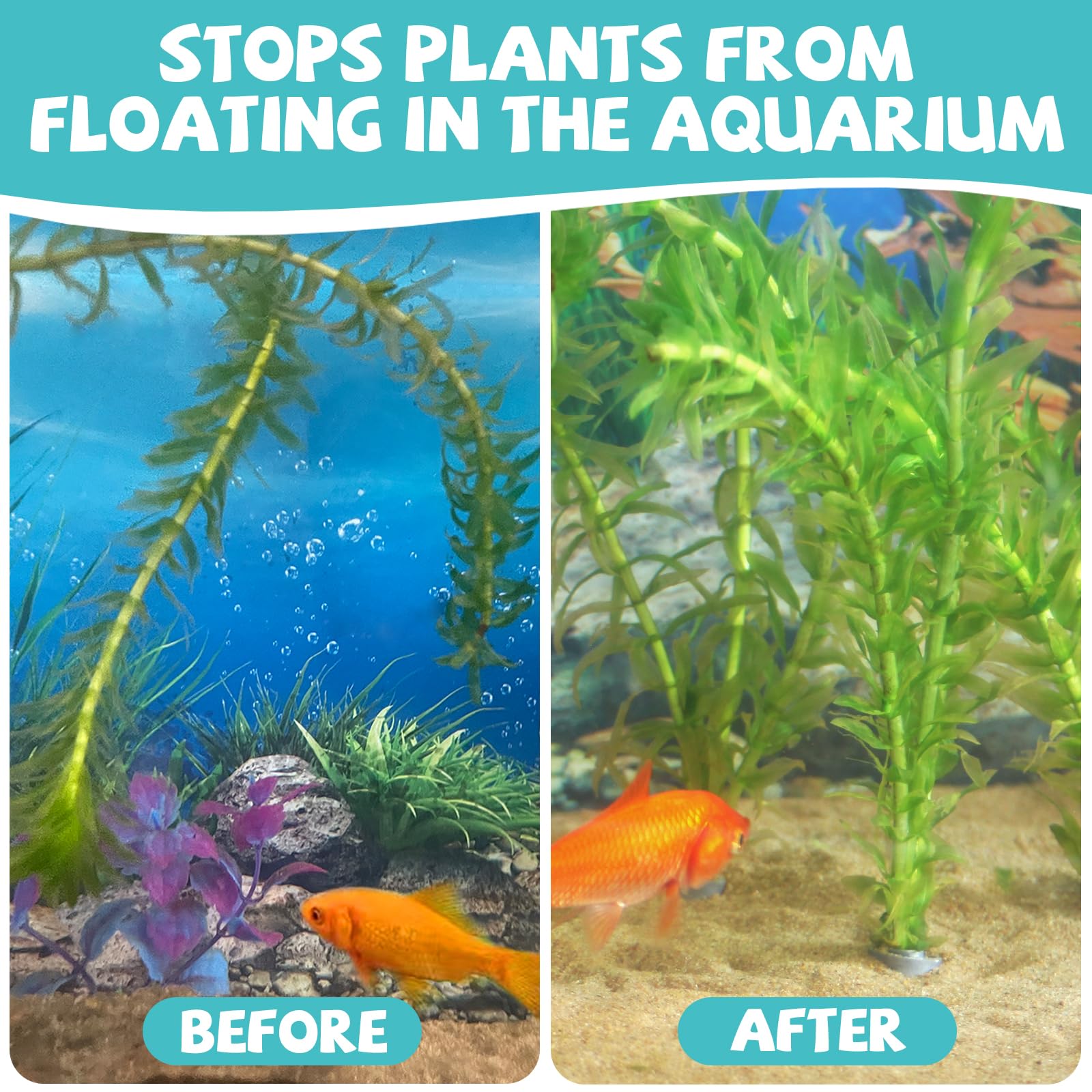 SANJHFF – ancrages-plantes-aquarium-resistants-anti-corrosion: résistants et anti-corrosion pour une utilisation durable.